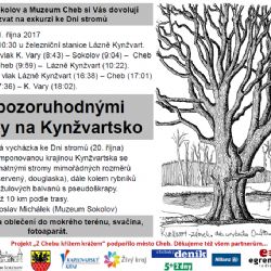 Kynžvartsko: Vydejte se za pozoruhodnými stromy