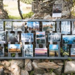 Landartový festival v Krušných horách letos oslaví 10 let