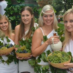 Loket: Na hradě bude vinobraní