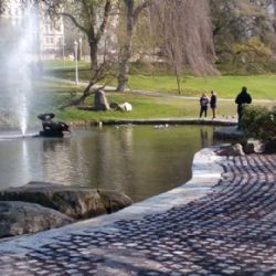 Mariánské Lázně: Trávník u labutího jezírka