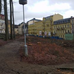Mariánské Lázně: V areálu Lesního pramene dojde k obnově lesního porostu