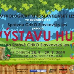 Mariánské Lázně: Výstava hub