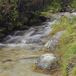 Mariánské Lázně: Zákaz odebírání vody z Úšovického potoka