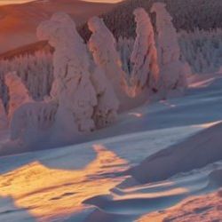 Meteorologové upozorňují na silný vítr