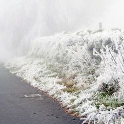 Meteorologové varují před mrznoucí mlhou