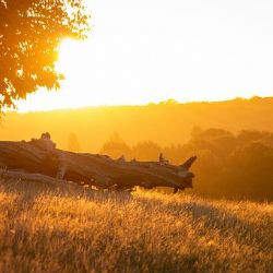 Meteorologové varují před velmi vysokými teplotami