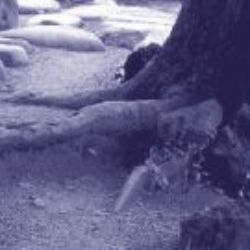 Ministerstvo vnitra zřídilo v krajích regionální dobrovolnická centra