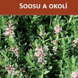 Muzeum Cheb získalo prestižní ocenění