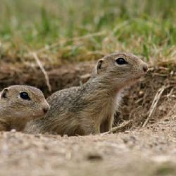 Muzeum Karlovy Vary zve na víkendové vycházky