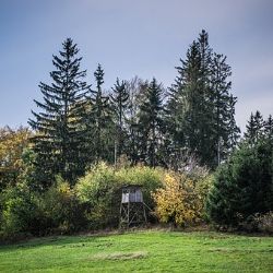 Myslivecké spolky získají dotace od kraje