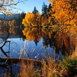 Na Kladské zase zatroubí