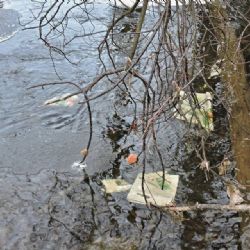 Na Trojstátí stále řádí vandal