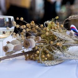 Na výstavě Země živitelka představí Karlovarský kraj to nejlepší z regionu