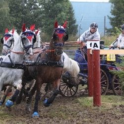 Nebanice: Mezinárodní závody spřežení 2017