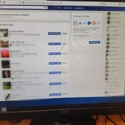 Nepíšete si s falešným americkým vojákem?