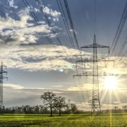 Nezapomeňte na prořezávku zeleně v okolí elektrického vedení