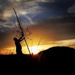 Nominujte Alej roku 2019. Čas zbývá do konce října