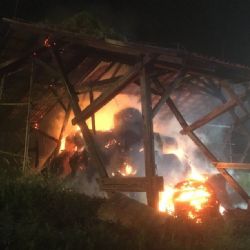 Nová Role: U města vyhořel seník. Požár likvidovalo pět jednotek hasičů