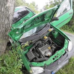 Nová Ves: Řidič nepřežil náraz do stromu 