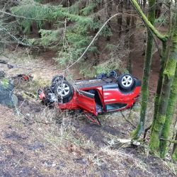 Nová Ves: Tragická nehoda. Na jedoucí vozidlo spadl strom