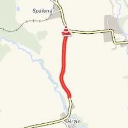 Nový Kostel: Pozor! Krávy na silnici