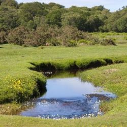 Obecní úřady mohou omezit nakládání s povrchovými vodami