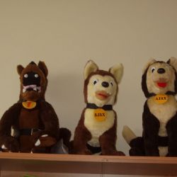 Oblíbený Ajaxův zápisník opět získá podporu od kraje