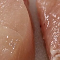 Od dubna byla zjištěna salmonela v celkem 16 tunách drůbežího masa z Polska