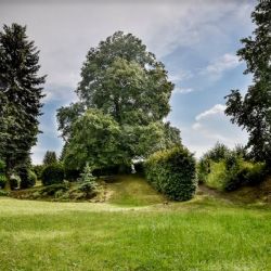 Odstartoval souboj o Strom roku 2018