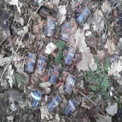 Oloví: V lese bylo nalezeno 11 útočných ručních granátů