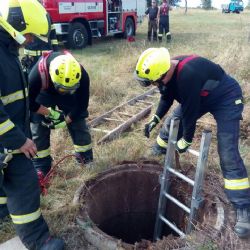 Opatov: Hasiči zachránili psa ze studny