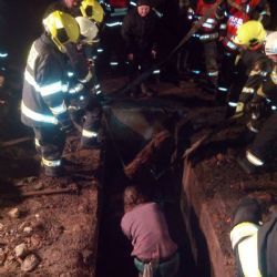 Opatov: Hasiči zachraňovali koně z jímky