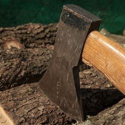 Ostrov: Hádka o zahradu. Pod vlivem alkoholu vzal na bratra sekeru