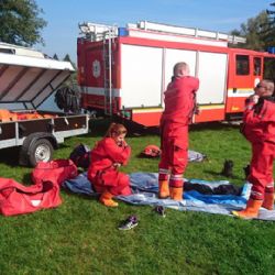 Ostrov: Hasiči zachránili labuť