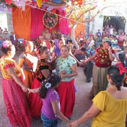 Ostrov: Knihovna zve na přednášku Kde ženy vládnou