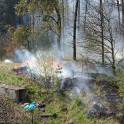 Ostrov: Likvidace požáru byla zkomplikována špatně přístupným terénem kolem železniční tratě