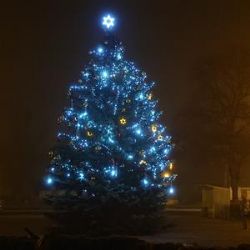 Ostrov: Město zítra rozsvítí vánoční strom