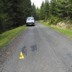 Ostrov: Mladá cyklistka srazila 79letou seniorku