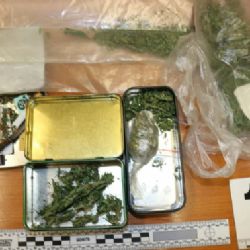 Ostrov: Na místě činu si ponechal marihuanu