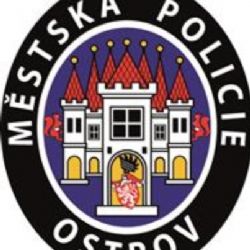 Ostrov: Strážníci poskytli první pomoc těžce zraněnému muži