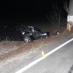 Otovice: Pod vlivem alkoholu nezvládl řízení a narazil do stromu