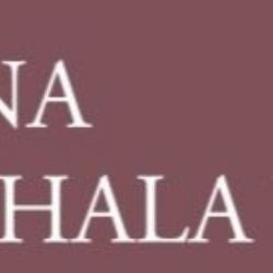 Pan Kott a pan Zajíček jsou nominováni na Cenu Michala Velíška 2020