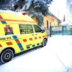 Pan Prokeš ze záchranné a odchytové služby byl s těžkým zraněním transportován do nemocnice