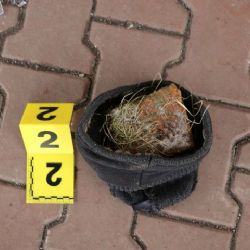 Plesná: Vloupal se do čerpací stanice