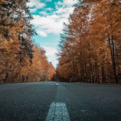 Podzim a policejní preventivní rady pro toto období