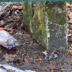 Pomoci přírodě může každý z nás – oslavte Den Země úklidem 