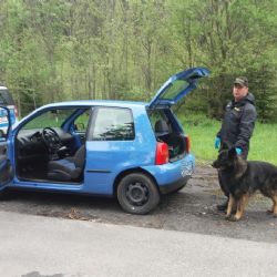 Potůčky: V obci proběhla rozsáhlá policejní akce 