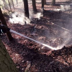 Poustka: Čtyři jednotky hasičů likvidovaly požár hrabanky 
