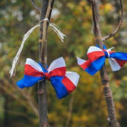 Pouze do konce května mohou radnice soutěžit o vysazení Aleje svobody