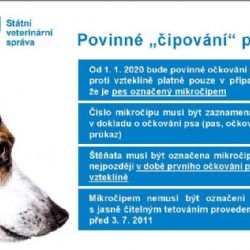 Povinné označování psů